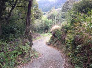 De Awa Pilgrim Trail is Henro-korogashi